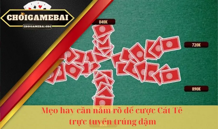 Mẹo hay cần nắm rõ để cược Cát Tê trực tuyến trúng đậm Mẹo hay cần nắm rõ để cược Cát Tê trực tuyến trúng đậm