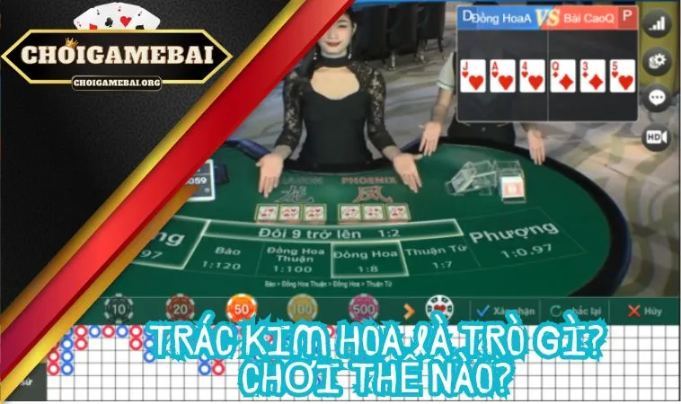 Trác Kim Hoa là trò gì? Chơi thế nào? Trác Kim Hoa là trò gì? Chơi thế nào?