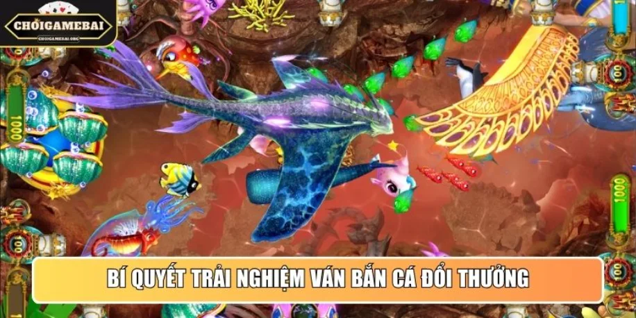 Bắn Cá Đổi Thưởng - Chuyên Mục Thông Tin Uy Tín Cho Newbie 32 Bí quyết trải nghiệm ván Bắn Cá đổi thưởng từ cao thủ